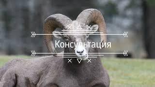 Общение с биомусором. Калы, мошенники , рекламщики|