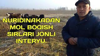 MOL BOQISHNI BU AKADAN O'RGANING JONLI INTERVYU