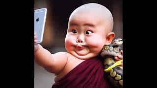 Cute baby monk selfies #status #shorts #cute #tech official