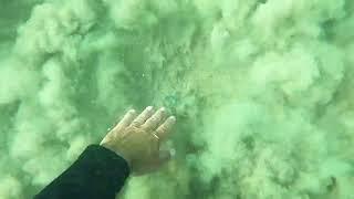  Metal Detecting Underwater: Finds Hidden Treasure!