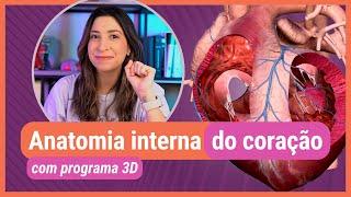 ANATOMIA INTERNA DO CORAÇÃO! Com programa 3D