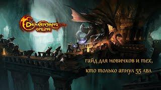 Drakensang Online: Гайд для новичков 55 лвл