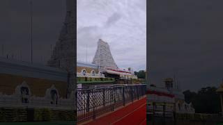 Tirumala | Tirupati | Venkateswara Swamy | Om Namo Venkatesaya #tirumala #tirupati