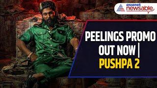 PEELINGS Song Promo is OUT! | Pushpa 2: The Rule | Allu Arjun | Rashmika Mandanna | Sukumar | DSP