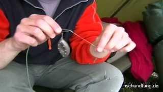Matze Koch: How to catch carp - In the river 5/8