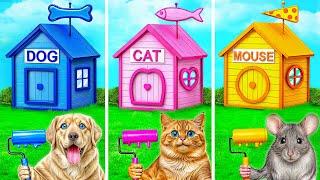 One Colored House Challenge with Dog, Cat and Hamster by Multi DO Smile