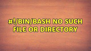 #!/bin/bash: No such file or directory