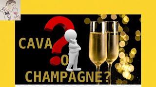 (5) DIFERENCIAS ENTRE EL CAVA Y EL CHAMPAGNE