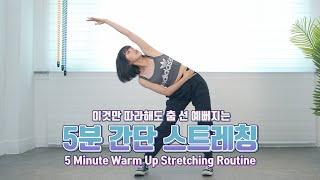 5 Minute Full Body Stretch / Dance Warm Up