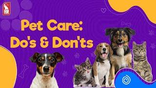 Pet Care: Do's and Don'ts | Prudent | 270525