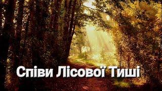 Співи Лісової Тиші