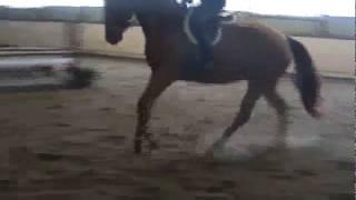 Red Canter2