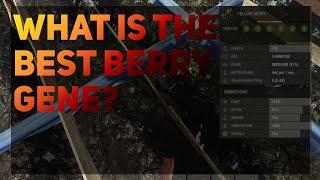 What is the best berry gene? | Rust