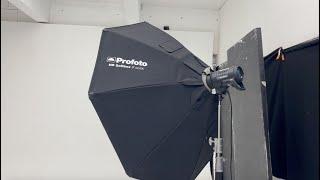 Profoto 5 ft Octa Soft Box and D2 500 Flash