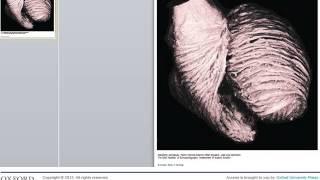 European Society of Cardiology Textbooks: A short guide