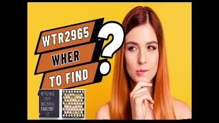 WHERE TO FIND WTR2965 SIGNAL IC? LIST OF MODELS