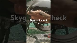 skygo bolt cvt check