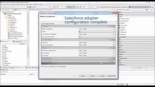 Fiorano SalesForce Integration Final