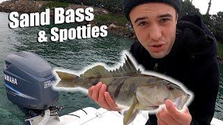 FISHING Sand bass and spotted Bay bass in long beach harbor (BOAT and DOCKS)