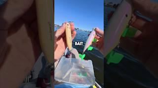 Topwater Lure in SALTWATER! #fishinglure #fishingvideo #bassfishing #saltwaterfix