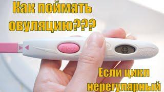 Как поймать овуляцию? Если нерегулярный цикл/ проверенный способ