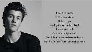 Shawn Mendes - Mutual (lyrics)