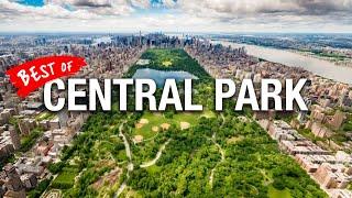 The ULTIMATE Central Park NYC Guide!