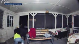 'I did it for my dog': Daytona Beach man attacked by bear speaks