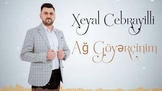 Xeyal Cebrayilli Ag Goyercinim