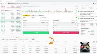 5 minutes trading Binance with a trading bot (test video 4)