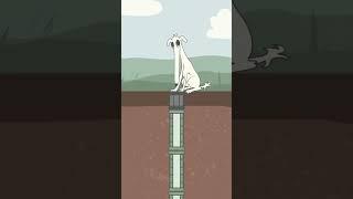 dog long nose crossing pipe #shorts #gameplay #usa