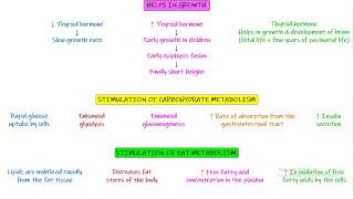 Effect of thyroid hormone on metabolic functions, weight & growth. chapter 77 part 6. Guyton & Hall.