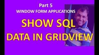 #5 How to Bind or Fill Data to the Windows Forms DataGridView Control