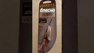 Покупка за сегодня‍ #рыбалка #fishing #carpfishing #топ