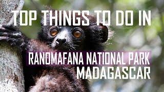 Top Things To Do in Ranomafana National Park, MADAGASCAR - Madagascar Travel Guide