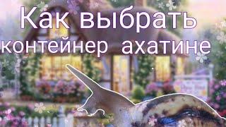 Как выбрать контейнер для улиток Ахатин | Увеличиваю жильё улитке ахатине единорожке |