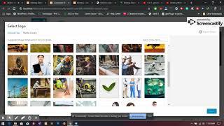 Bizberg WordPress Theme: How to Upload Site Logo ?