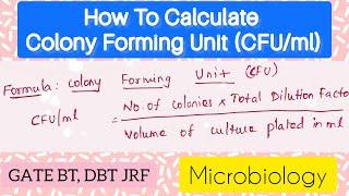 CFU | How to Calculate Colony Forming Units (CFU/ml) | Microbiology @biotechnotebook