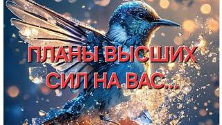 ️ПОТРЯСАЮЩИЕ ПЛАНЫ ВЫСШИХ СИЛ НА ВАС#события #будущее #судьба #tarot #предсказание #тароонлайн