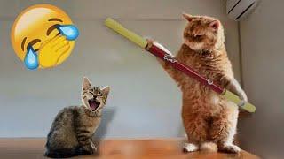  Funniest Dogs and Cats  New Funny Catss 2024 