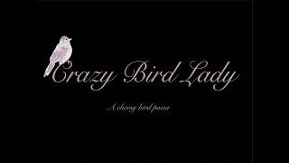 Crazy Bird Lady, A cheesy bird poem (festival cut)