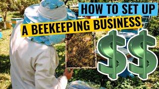 Beekeeping | How To Properly Set Up A Beekeeping Business