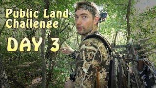 Public Land Challenge Day 3 - DIY Sportsman