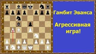 Шахматы обучение. Гамбит Эванса. Агрессивная игра!