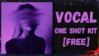 [FREE] VOCAL ONE SHOT KIT [3AM] 2024 | female vocal samples