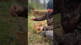 First Spring Forage at Rolling Hills Conservation