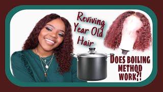 12 DAYS OF SLEIGH | DAY 3 : REVIVING YEAR OLD HAIR | DOES BOILING METHOD WORK?!