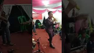 SuRYA MUSICA? WALI GAJAH " JOKO KDI
