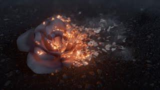 Houdini Disintegration FX - Pro Houdini & Nuke VFX Course
