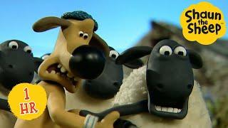 Tidy Up  Shaun the Sheep | 1 HOUR Full Episodes Compilation ⏰ #ShauntheSheep